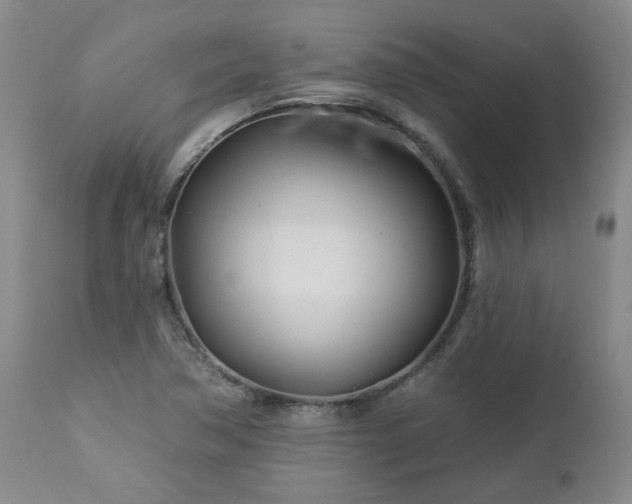 X0000112461362200908241247