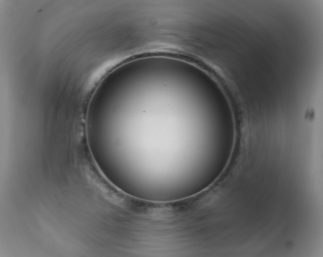 X0000112461363200908241247