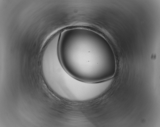 X0000112461364200908241247