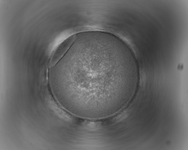 X0000112461365200908241247