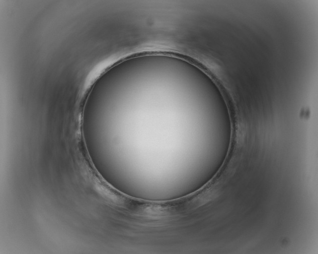 X0000112461366200908241247