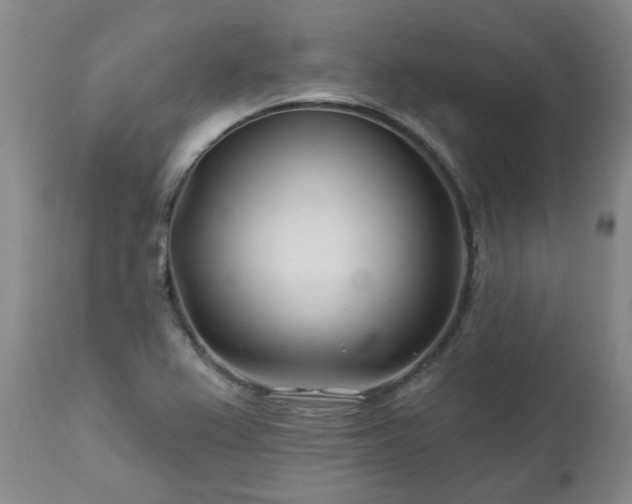 X0000112461367200908241247