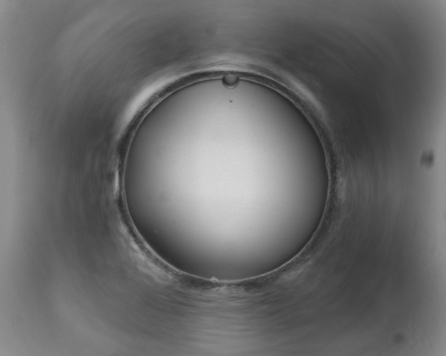 X0000112461368200908241247