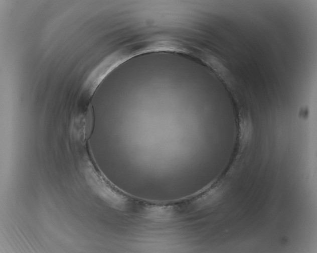 X0000112461369200908241247