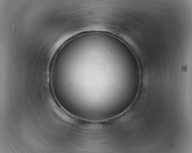 X0000112461372200908241247