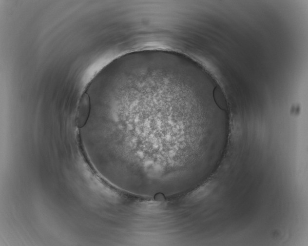 X0000112461373200908241247