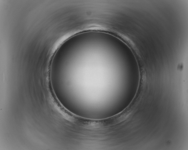 X0000112461375200908241247