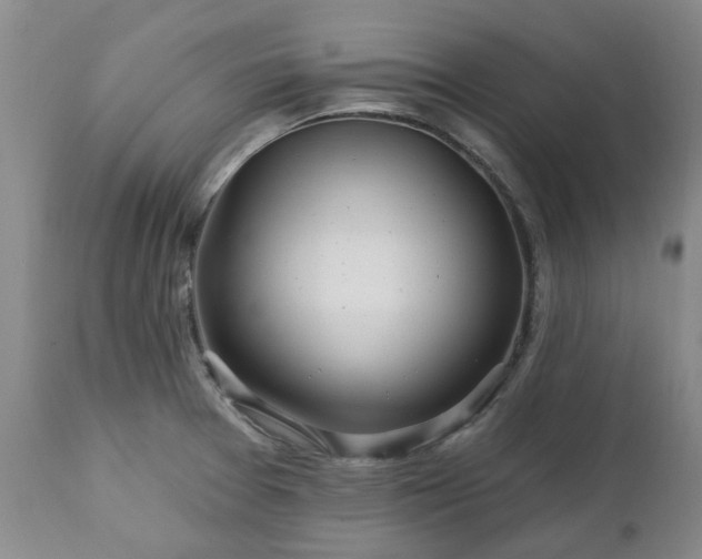 X0000112461377200908241247