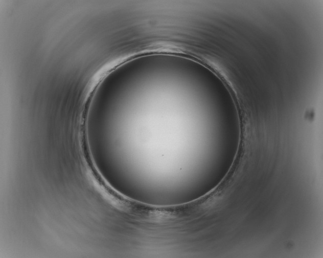 X0000112461379200908241247