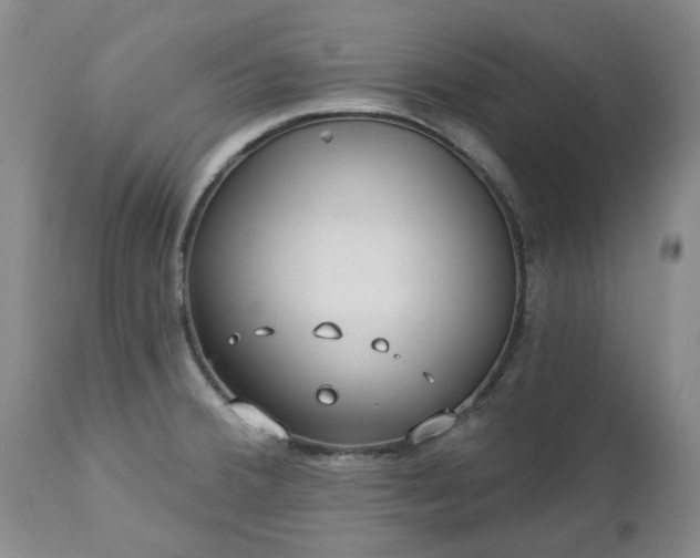 X0000112461380200908241247