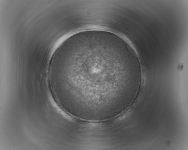 X0000112461381200908241247