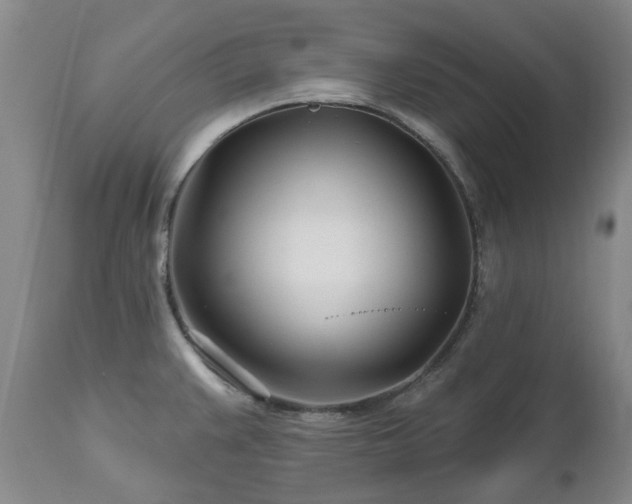 X0000112461383200908241247