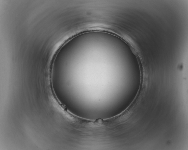 X0000112461384200908241247