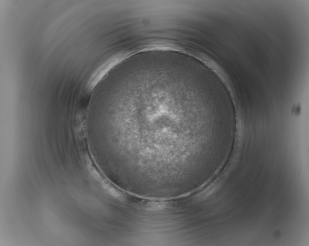 X0000112461385200908241247