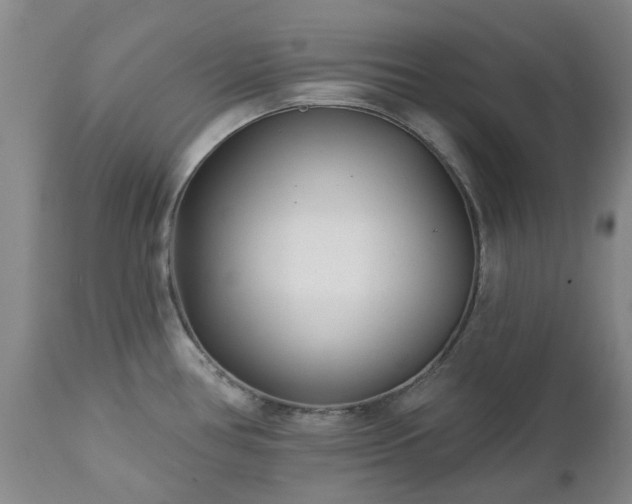 X0000112461386200908241247