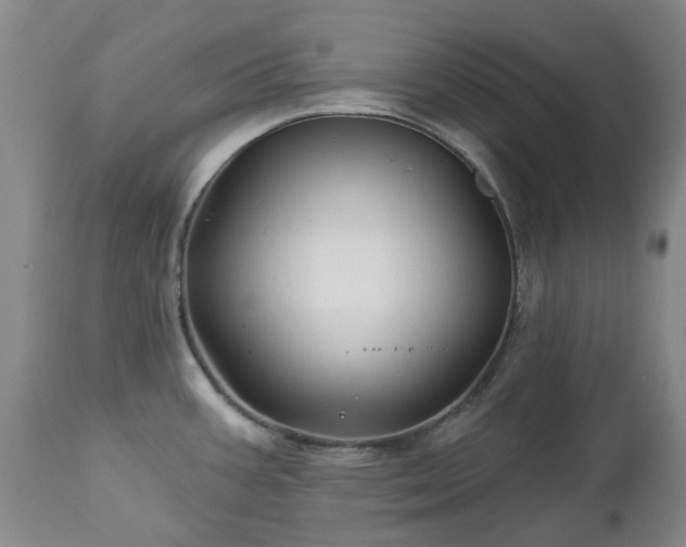 X0000112461387200908241247