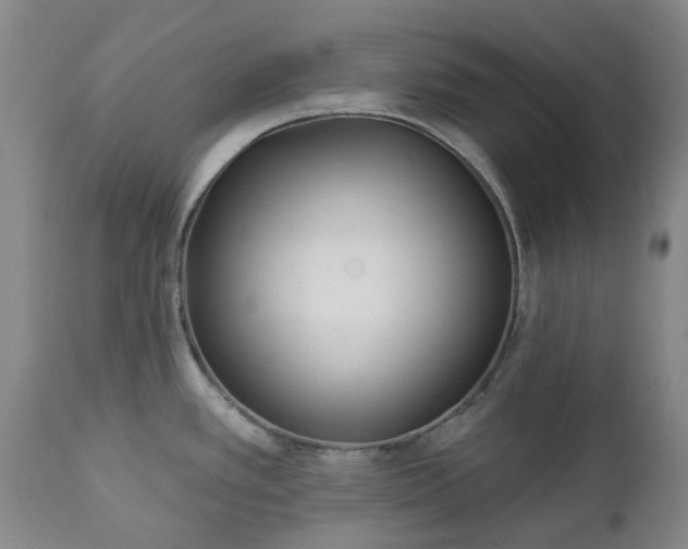 X0000112461389200908241247