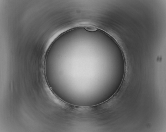 X0000112461392200908241247