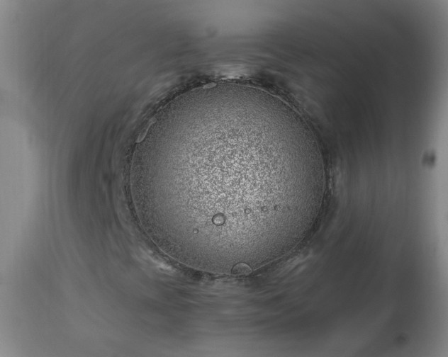 X0000112461393200908241246