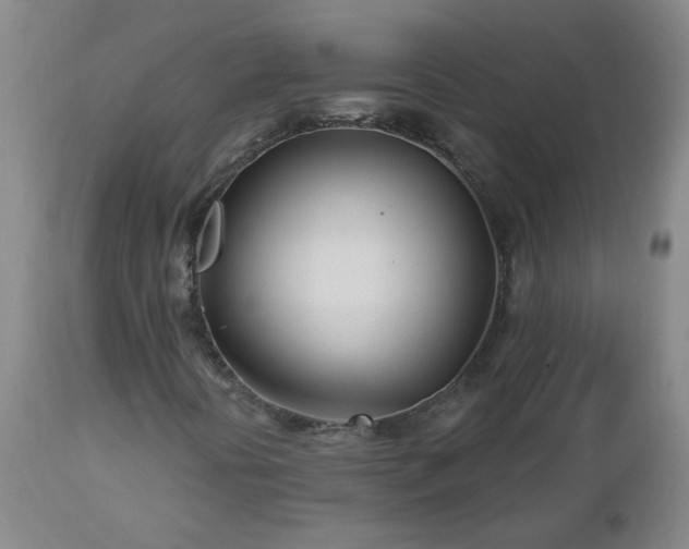 X0000112461394200908241246