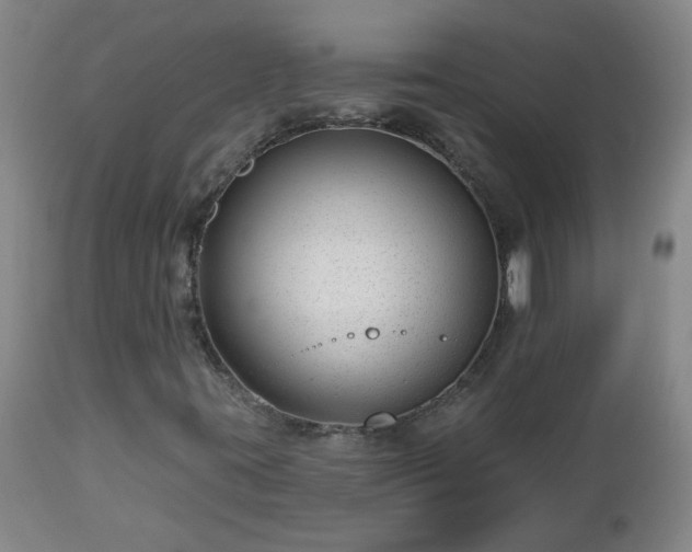 X0000112461395200908241246