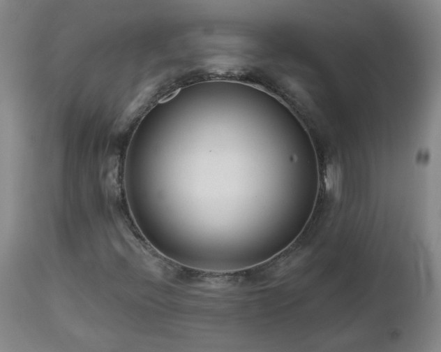 X0000112461396200908241246