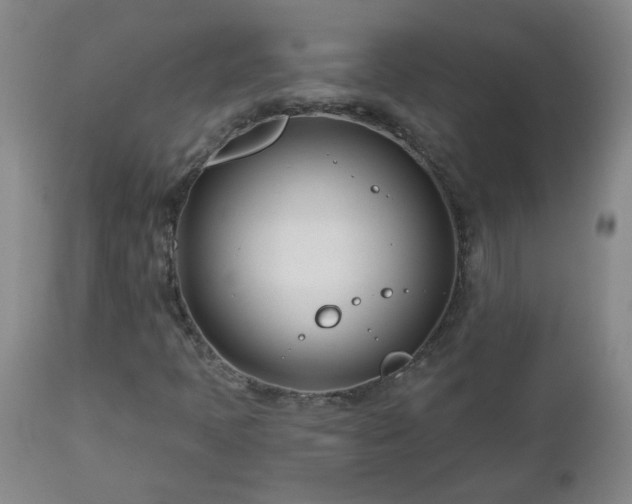 X0000112461397200908241246