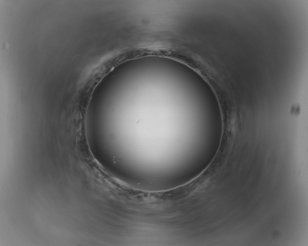 X0000112461398200908241246