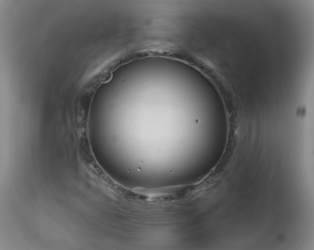 X0000112461399200908241246