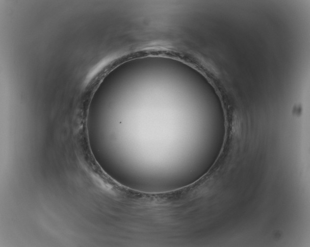 X0000112461400200908241246