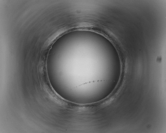 X0000112461401200908241246