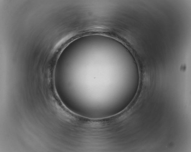 X0000112461402200908241246