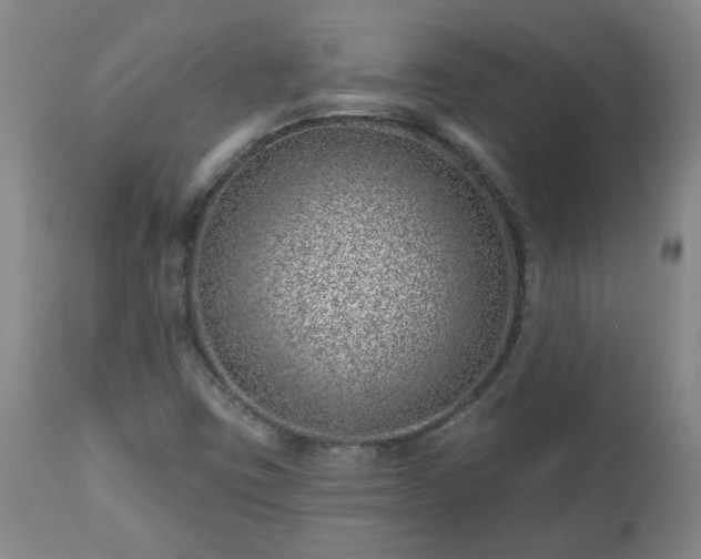 X0000112461403200908241246