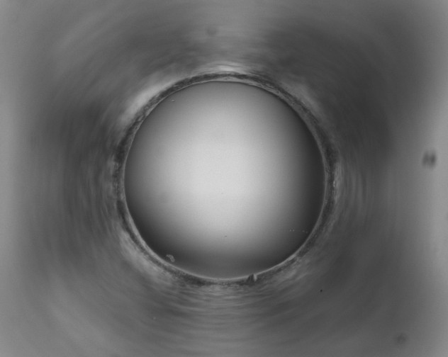 X0000112461404200908241247