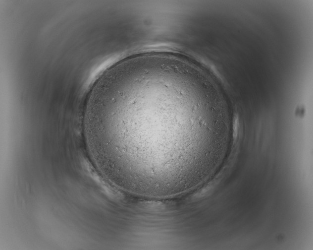 X0000112461405200908241247