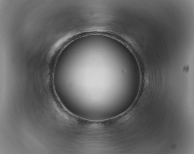 X0000112461406200908241247