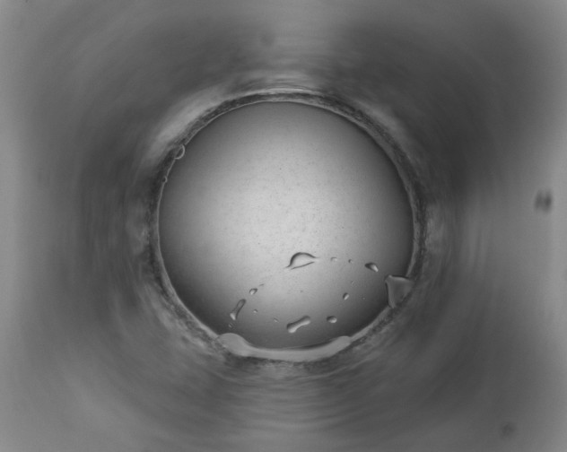 X0000112461407200908241247