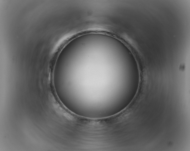 X0000112461408200908241247