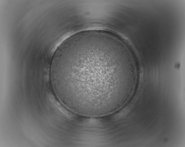 X0000112461409200908241247