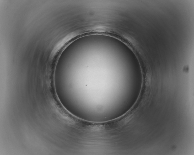 X0000112461410200908241247