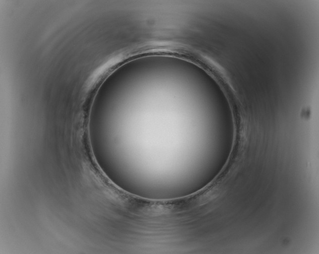 X0000112461411200908241247