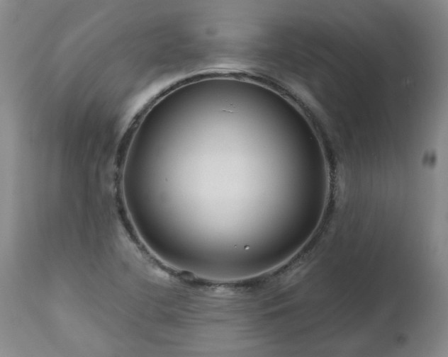 X0000112461412200908241247