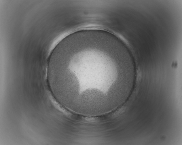 X0000112461413200908241247