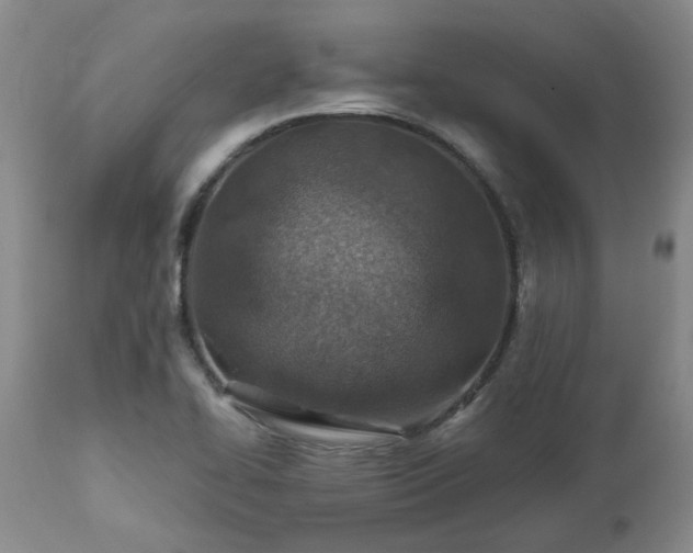 X0000112461414200908241247