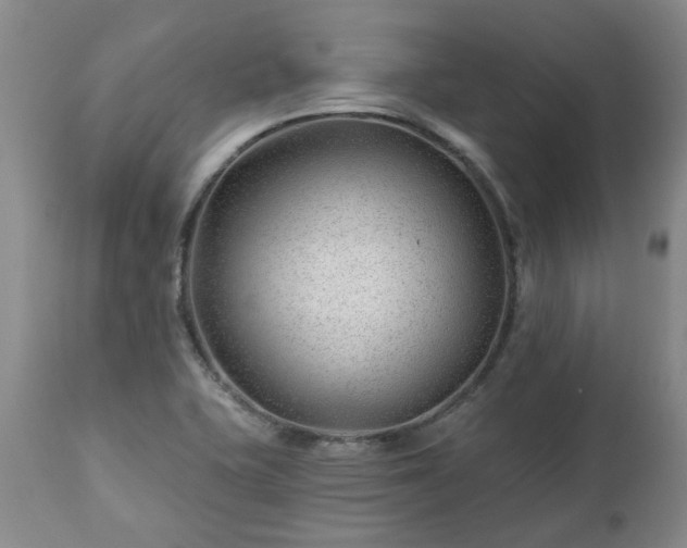 X0000112461415200908241247