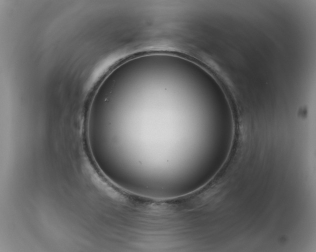 X0000112461416200908241247