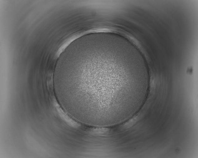 X0000112461417200908241247