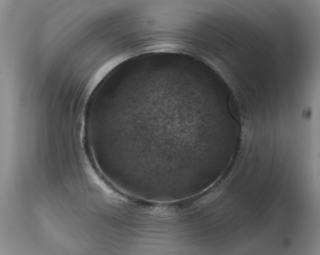 X0000112461418200908241247