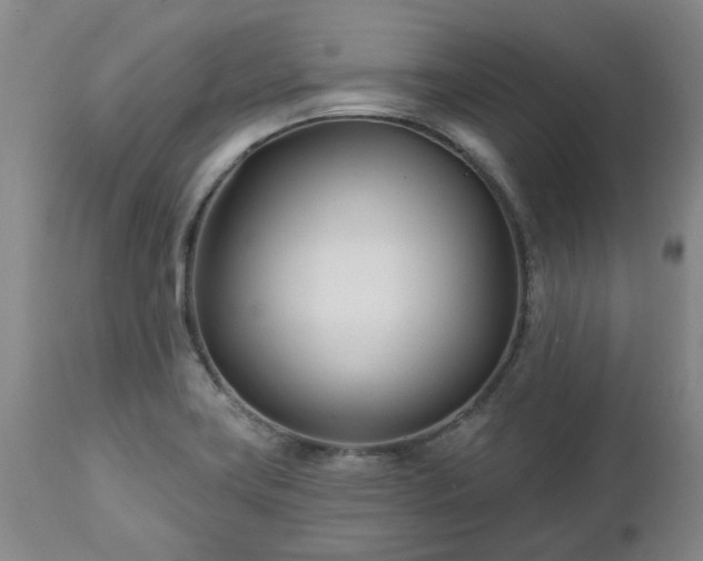 X0000112461419200908241247