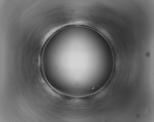 X0000112461420200908241247